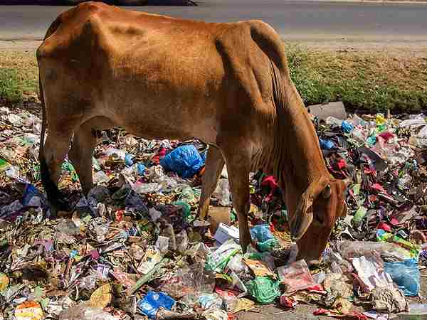  तीन घंटे तक चला ऑपरेशन