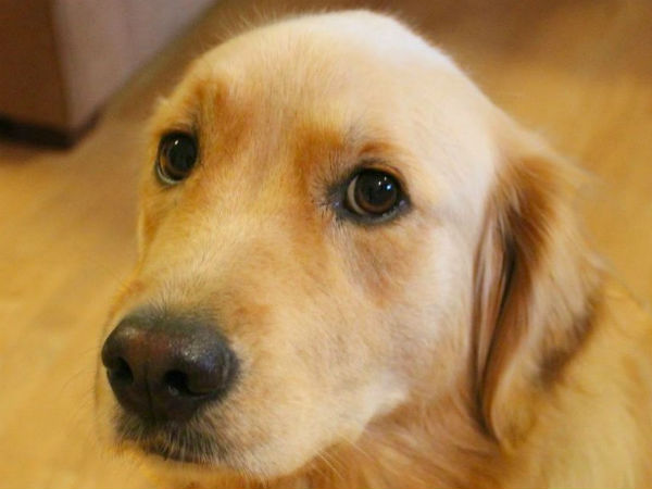 राहु-केतु और शनि का प्रभाव 