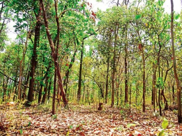  दो जिलों के आधे से अधिक गांवों तक सरकार की पहुंच नहीं