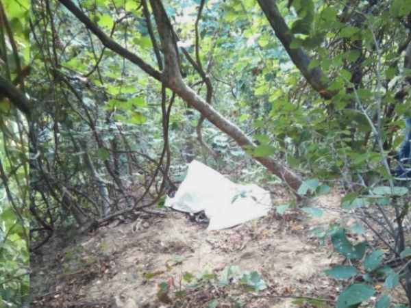 'पुरुष अगर रात को 6 बजे के बाद बाहर नहीं निकलेगा तो महिलाएं अपने आप सुरक्षित होंगी' 'पुरुष अगर रात को 6 बजे के बाद बाहर नहीं निकलेगा तो महिलाएं अपने आप सुरक्षित होंगी'