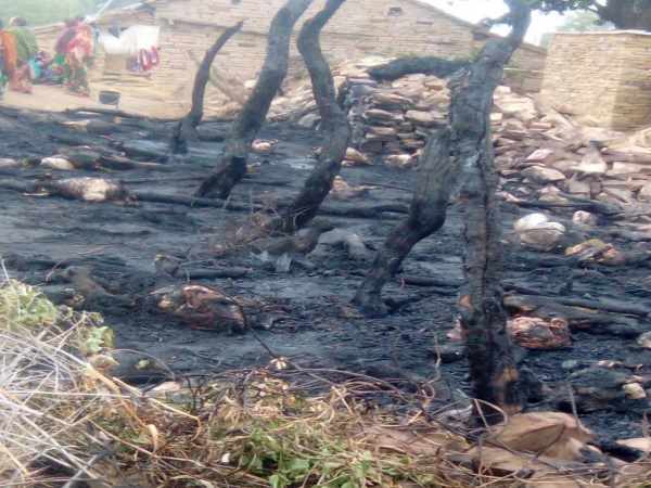 किशोरी का पिता करता है बकरी पालन 