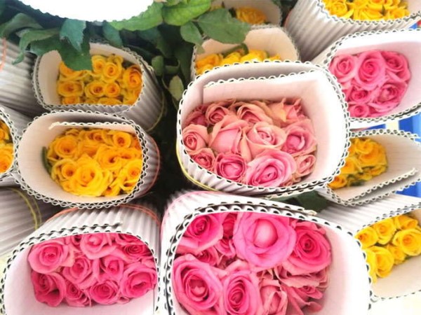 इस तरह आया आईडिया इस तरह आया आईडिया