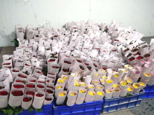 टर्नओवर 11 करोड़ हो गया। टर्नओवर 11 करोड़ हो गया।