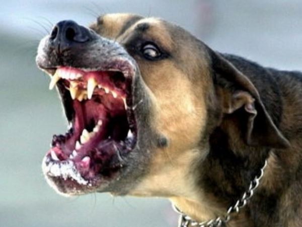 पुलिस कर रहा है मामले की जांच