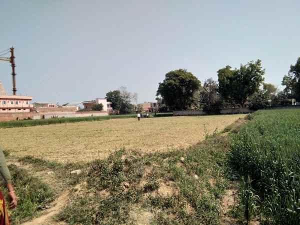 डीएम मथुरा ने दिया फसल कटवाने का आदेश डीएम मथुरा ने दिया फसल कटवाने का आदेश