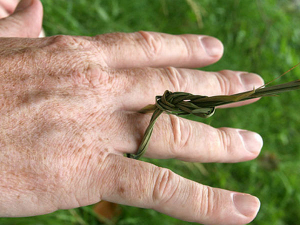 Religion: पूजा में क्यों पहनी जाती है कुश की पैंती? 