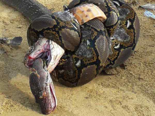 देखिए खूनी संघर्ष का क्या हुआ अंजाम