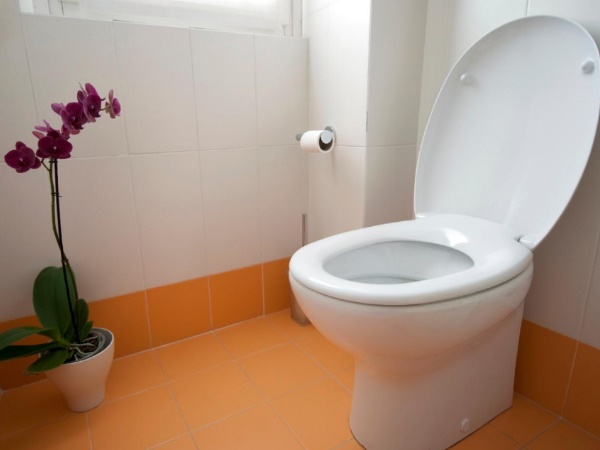 सुप्रीम कोर्ट ने कही थी ट्रांसजेंडर को विशेष सुविधा देने की बात