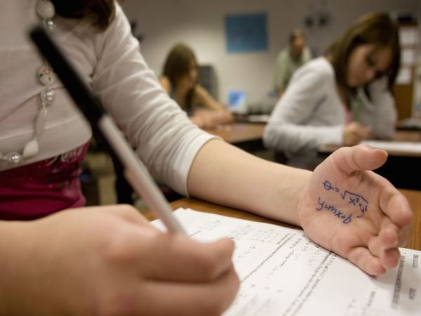 गेहूं के खेत में छिपकर देखी हलचल, फिर की छापेमारी 