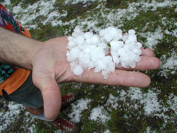 महाराष्ट्र में तीन लोगों की मौत
