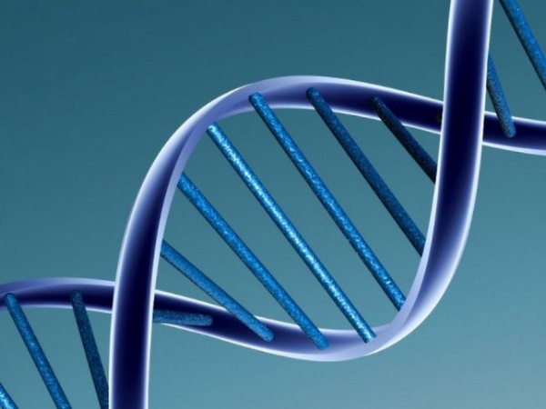 डीएनए जांच से साल्व हुआ केस