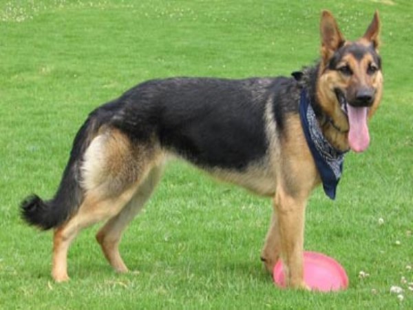 500 रुपये का लगेगा जुर्माना