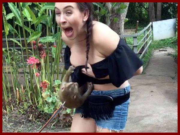 खुद की सुरक्षा के लिए ब्रिटनी ने कस के पकड़ लिया था टॉप खुद की सुरक्षा के लिए ब्रिटनी ने कस के पकड़ लिया था टॉप