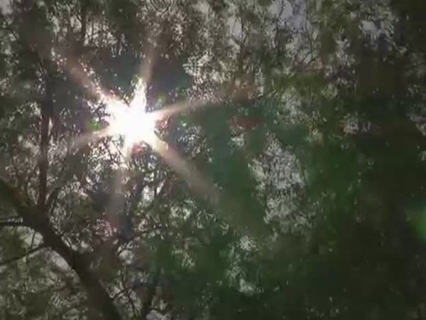 गर्मी से हुई महिला की मौत?!