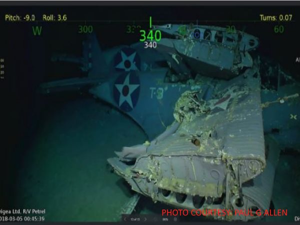 पंखों पर लगे फाइव स्टार के चिन्हों को आज मौजूद