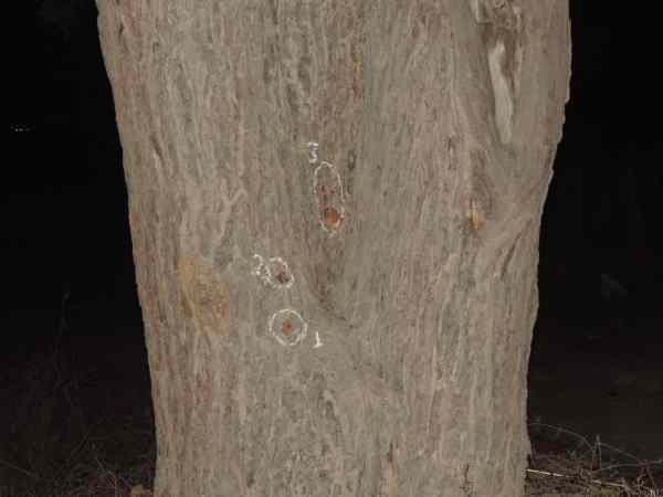 एक घंटे तक हुई फायरिंग