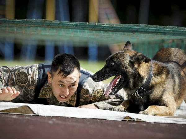 भारत से सटे बॉर्डर पर तैनात होगी पीएलए 