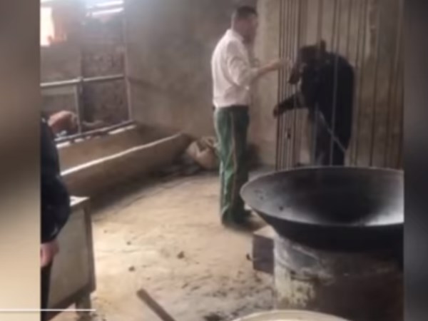 उत्तर प्रदेश में भी हुआ ऐसा मामला