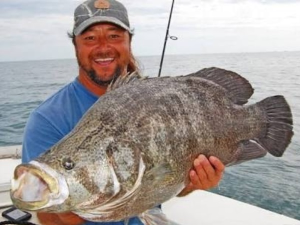 2016 में अलास्का के साउथईस्ट में एक दैत्याकार मछली पकड़ में आई थी