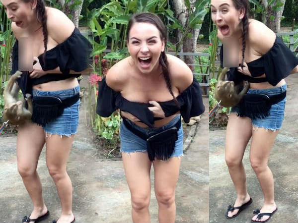 जब बंदर ने अचानक की ऐसी हरकत जब बंदर ने अचानक की ऐसी हरकत