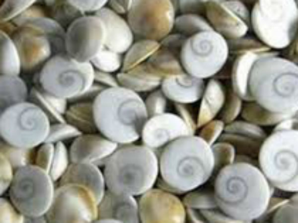 इसका प्रयोग बीमारी पर विशेष रूप से किया जाता है