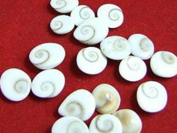 गर्भ की रक्षा 