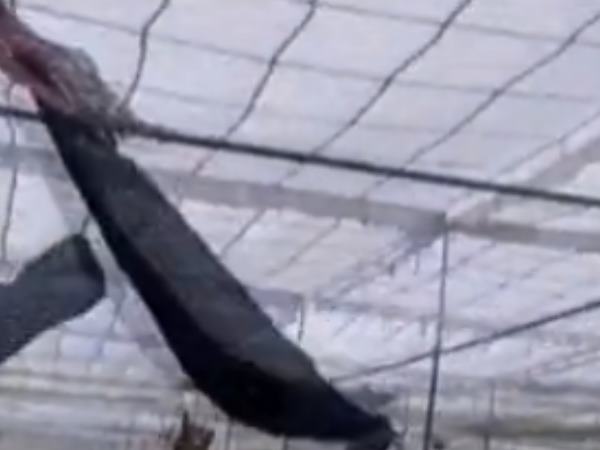 हमारे साथ आंतकियों जैसा सुलूक