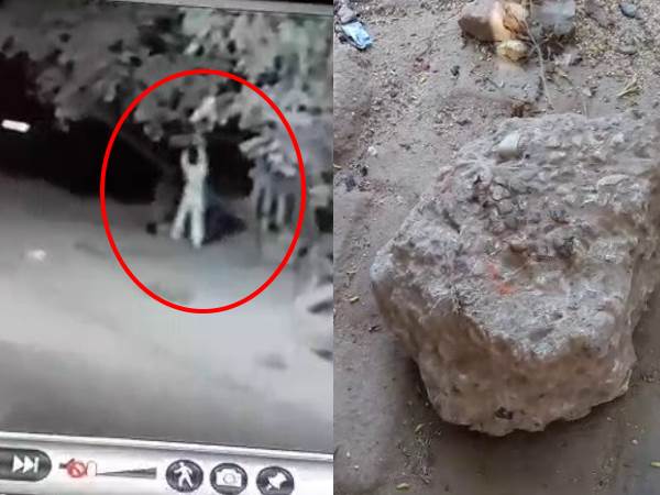 baghpat liv murder recorded on CCTV baghpat liv murder recorded on CCTV