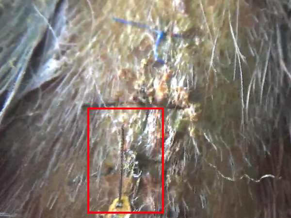 मामले की जांच कर कार्रवाई की जाएगी: सीएमओ