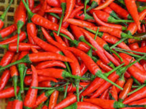 बुरी चीजों का साया नहीं