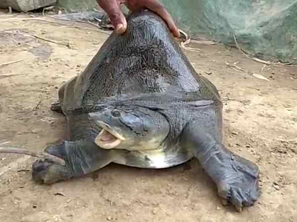 देखने के लिए जुट गई भीड़