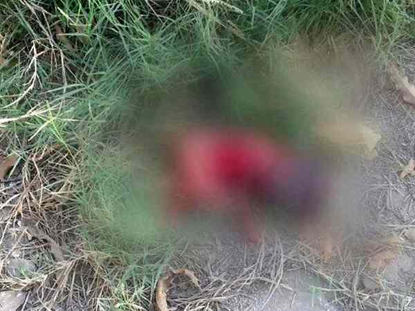 dog was roaming around the body of a newborn baby in Saharanpur dog was roaming around the body of a newborn baby in Saharanpur