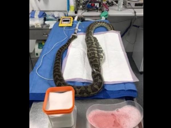  वायरल हो रही फेसबुक पोस्ट