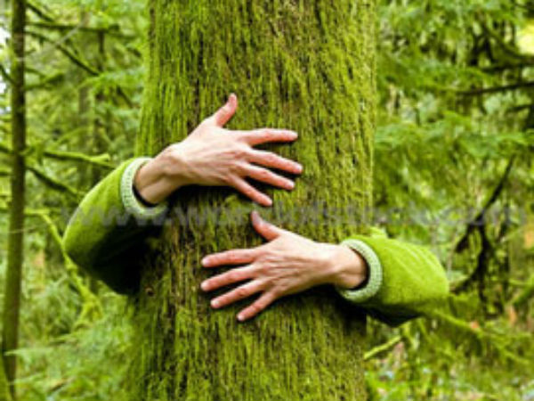 अहिंसावादी आंदोलन