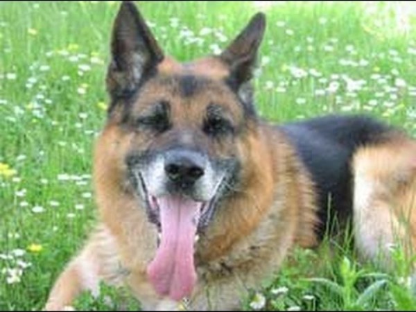 खुले में शौच करने पर जताई चिंता