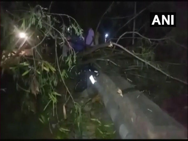 आंधी तूफान की वजह से पेड़ गिर गए 