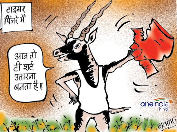 cartoon Salman Khan spent in jail blackbucks case cartoon Salman Khan spent in jail blackbucks case