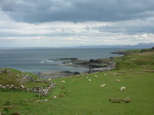 मिले 50 फुट बड़े पैरों के निशान