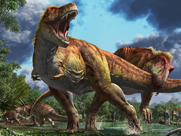 शोध के लिए काफी महत्वपूर्ण है ये जगह