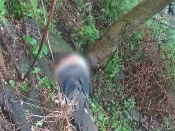 Four died after a car fell in ditch in Himachal Pradesh Four died after a car fell in ditch in Himachal Pradesh