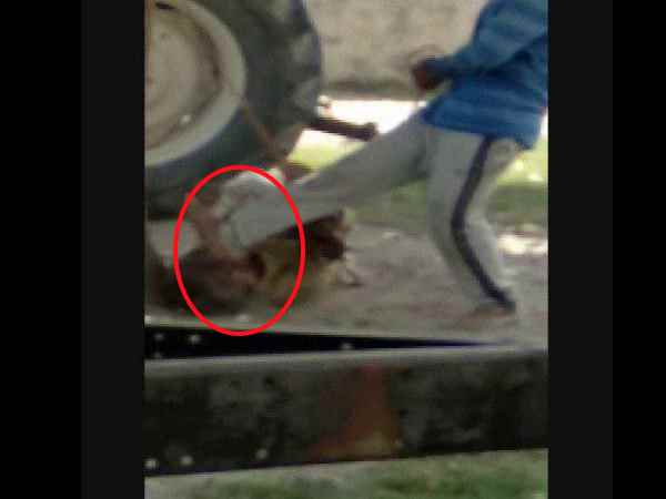 Son beaten his sick father in kushinagar