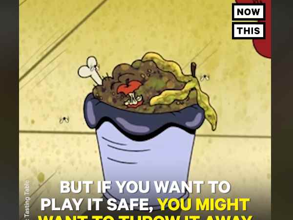 मक्खी के नहीं होते हैं दांत