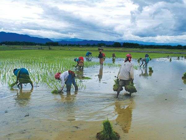 चार महीनों की बारिश काफी अहम 