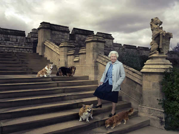 कोर्गी से है क्‍वीन को लगाव