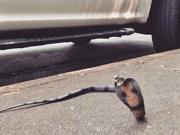 फोन कर की परिवार ने शिकायत