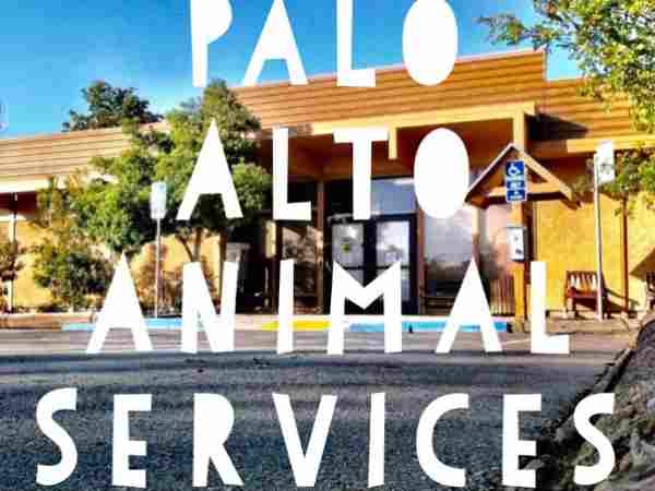  फेसबुक पर किया शेयर