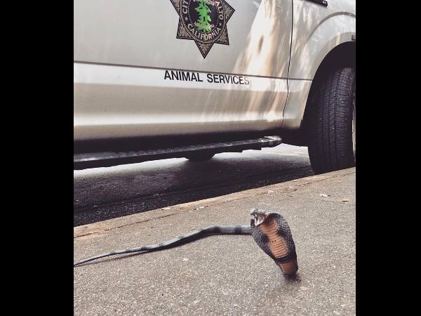 मौके पर पहुंचे अधिकारी