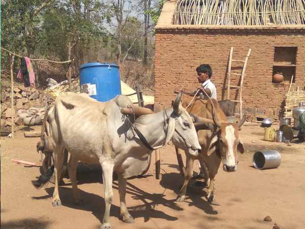 5 किलोमीटर रोज सफर कर आते हैं उत्तर प्रदेश