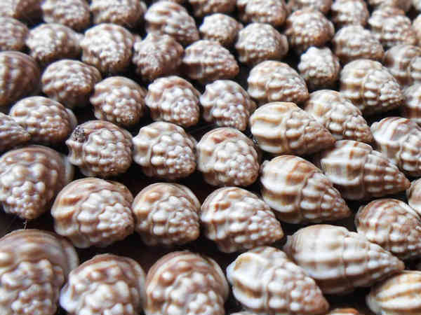  बंद उद्योग को चालू कराने के लिए