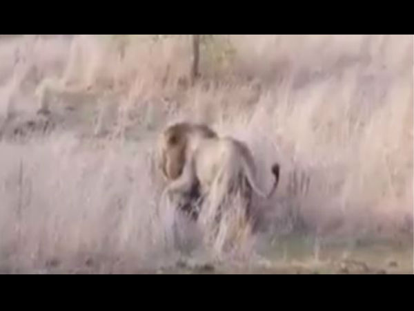 पहले भी सामने आ चुके हैं मामला